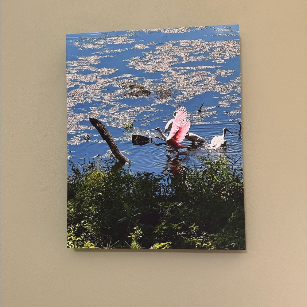 Nature Canvas Art with Roseate Spoonbill